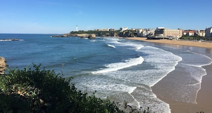 Lovely gîte nestled amongst vineyards and sunflower fields in SW France.