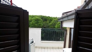 Apartemen, 1 kamar tidur | Teras/patio