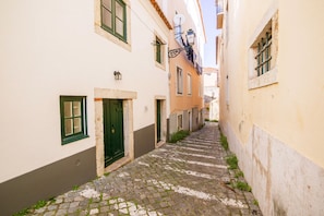 A narrow cobblestone street flanked by buildings with traditional architecture, including a green door and a satellite dish.