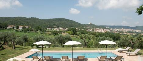 Outdoor pool, pool umbrellas, pool loungers