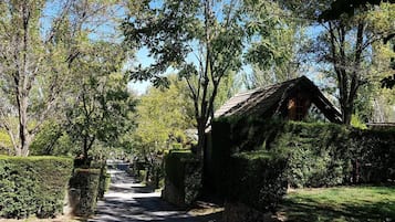 Taman
