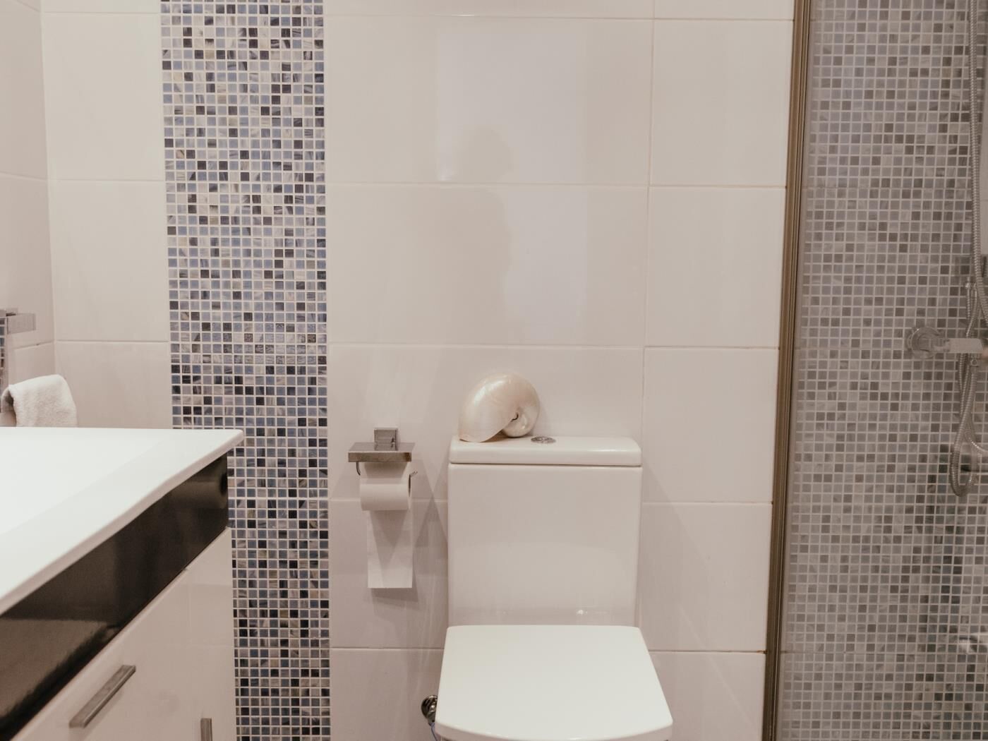 Une salle de bain moderne avec des toilettes blanches, un espace douche et un mur recouvert de carreaux formant un motif en mosaïque.