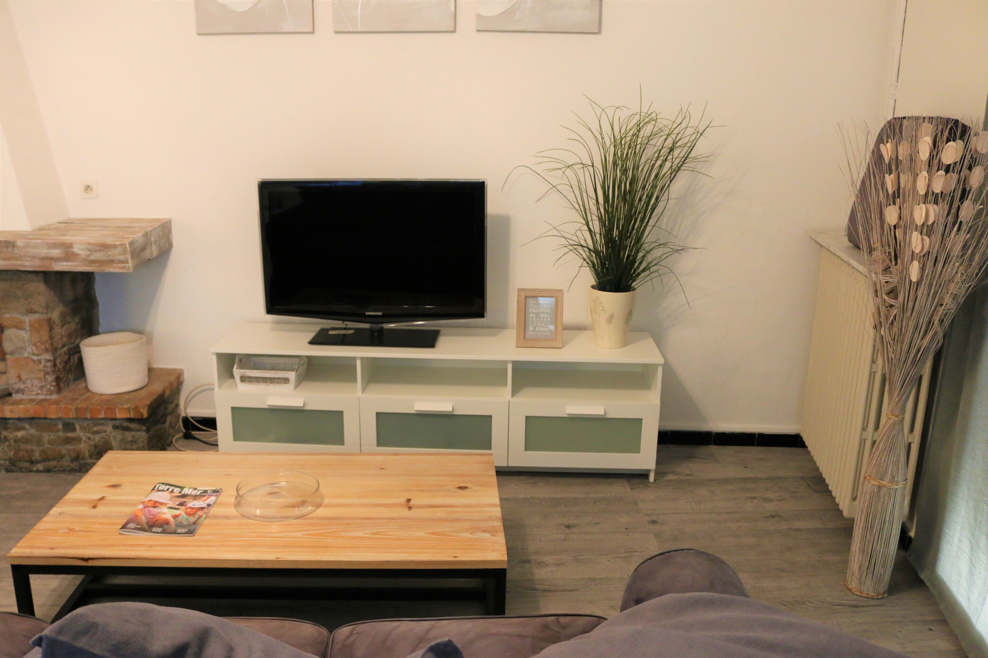 A living room with a flat-screen TV on a white cabinet, a coffee table with a magazine, a potted plant, and a fireplace.