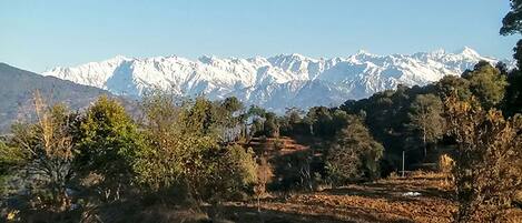 A mountainous landscape with snow-capped peaks in the background and a dry, terraced field in the foreground.