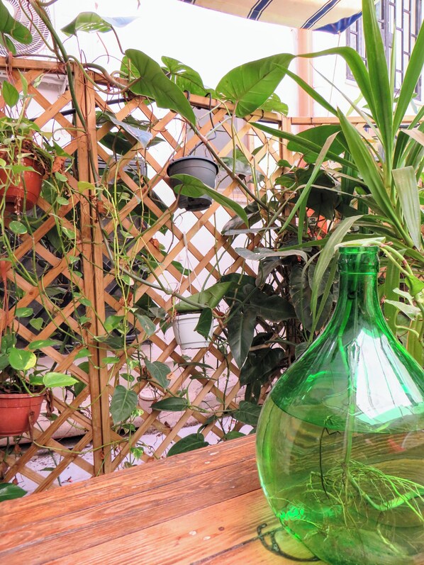 Une table en bois, une bouteille en verre verte et des plantes en pot, le tout placé devant un treillage.