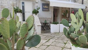 Un patio con cactus en macetas, la entrada de un edificio y un letrero que dice 'La Maison Bed and Breakfast'.