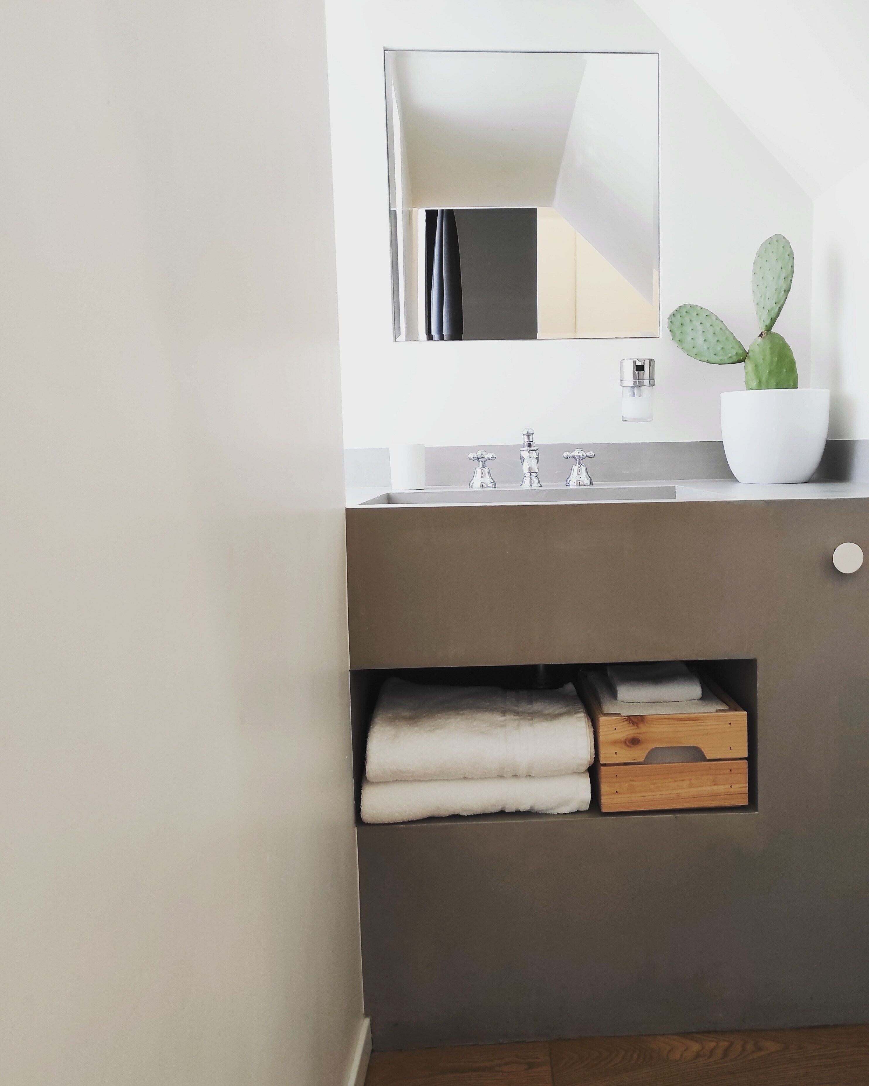 A bathroom with a modern sink, a mirror, a cactus plant, and neatly folded towels.