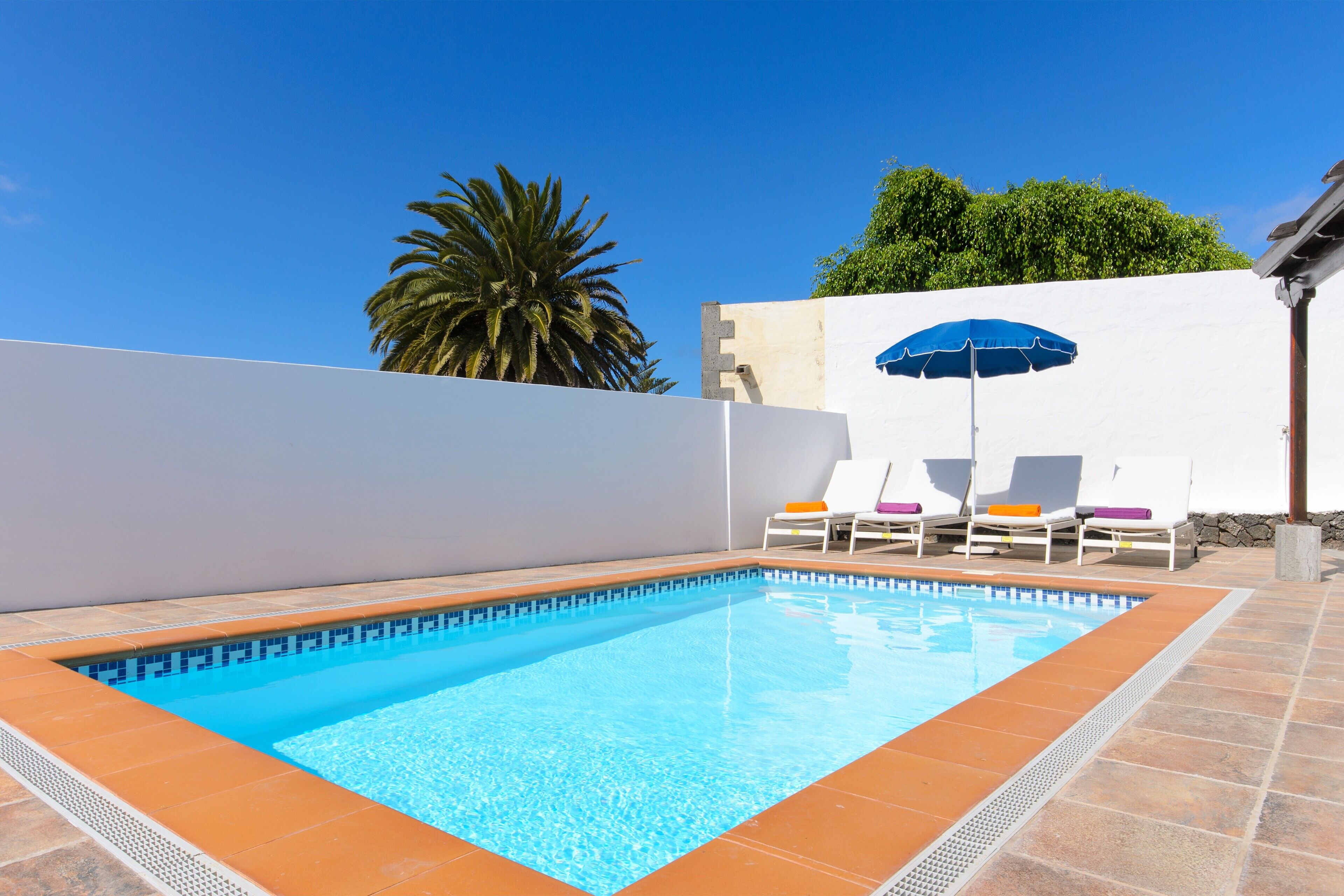 A rectangular swimming pool with a tiled edge, surrounded by a white wall and a tiled patio. There are lounge chairs and a blue umbrella on the patio.