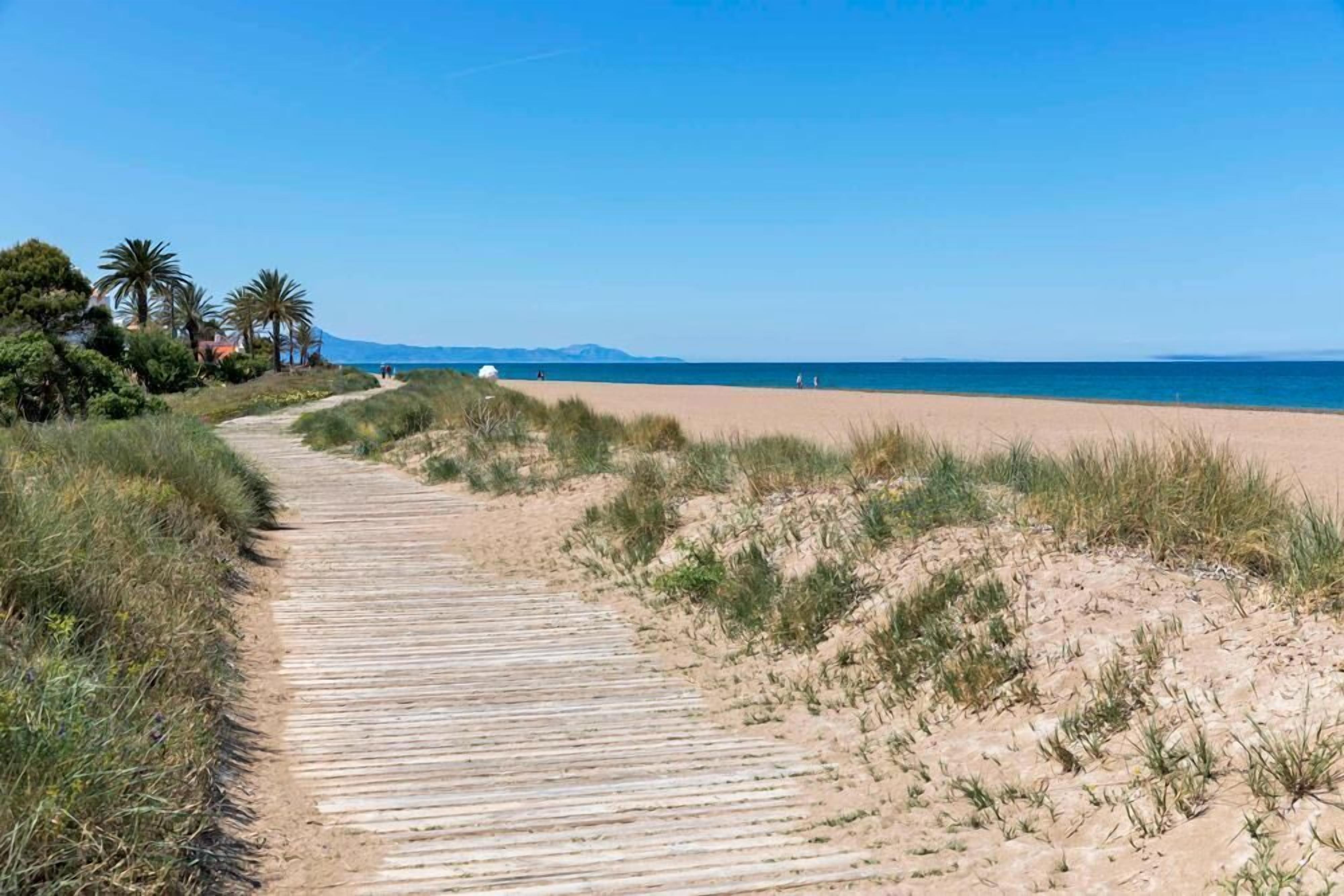 A sandy beach with a wooden boardwalk leading to the water, surrounded by greenery and palm trees.