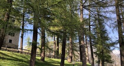 Vacanza di relax nel verde della montagna