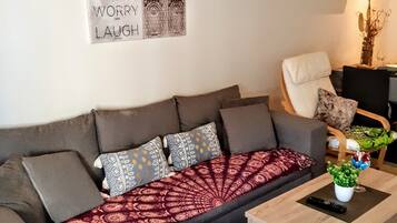 Télévision, lecteur de DVD, livres