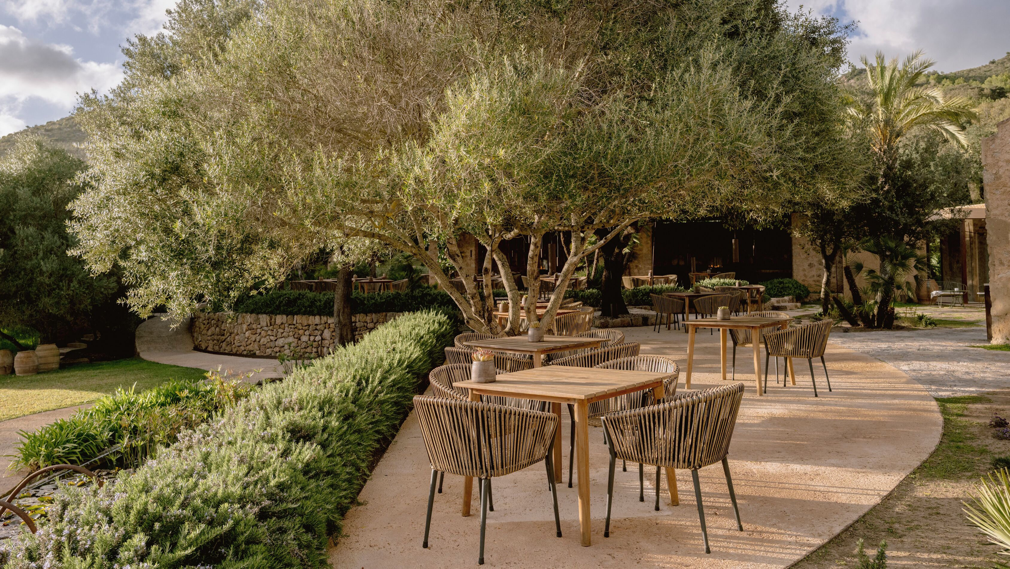 Un área de comedor al aire libre con mesas y sillas de madera, rodeada de follaje y árboles.