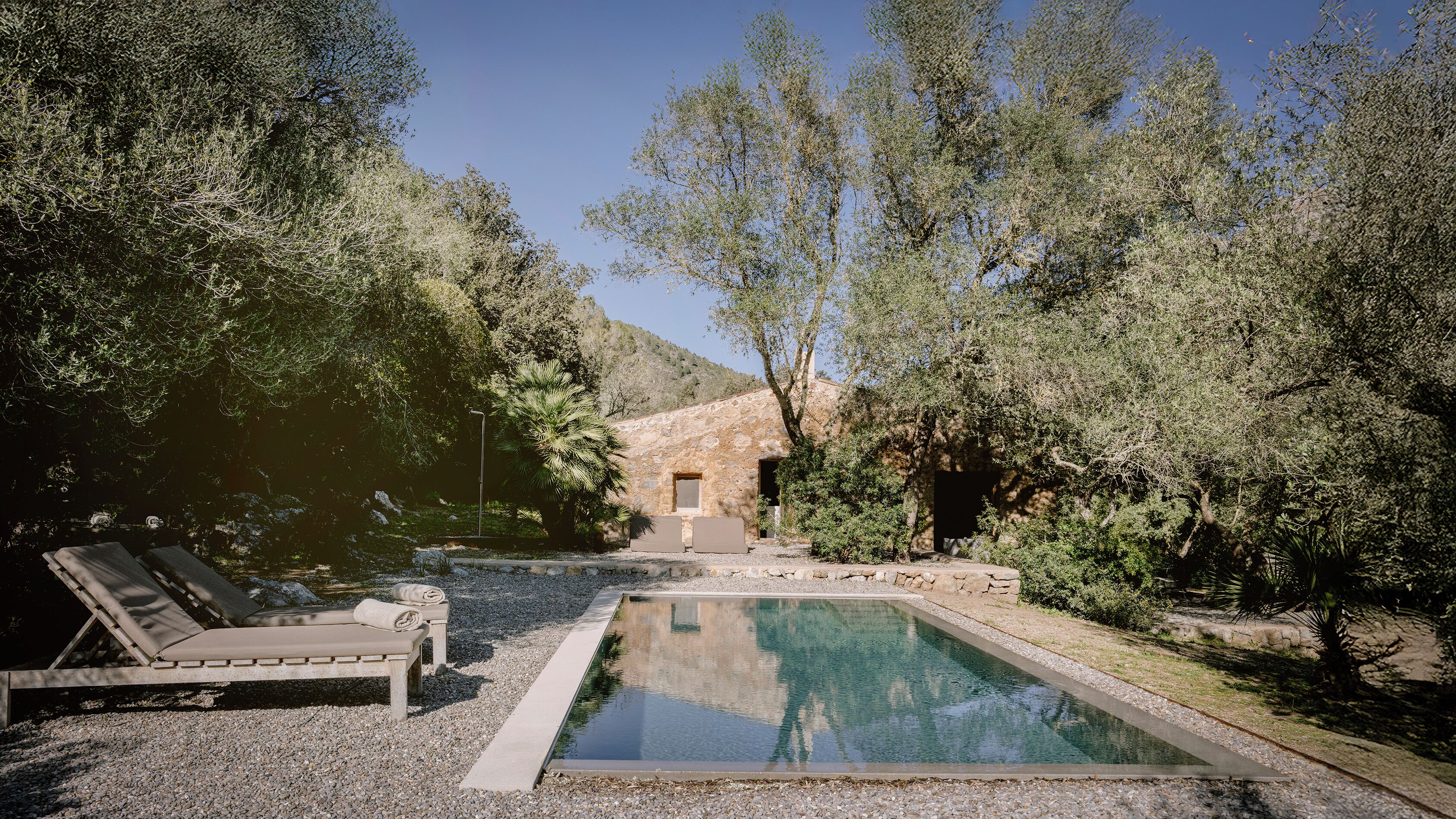 Roupas de cama premium, edredons de pluma