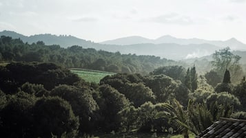 Kennileiti