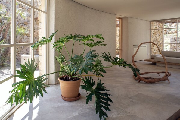 A modern interior with a large window, a potted plant, and a wooden chair. - Es Racó d’Artà, a Member of Design Hotels™ (Arta)