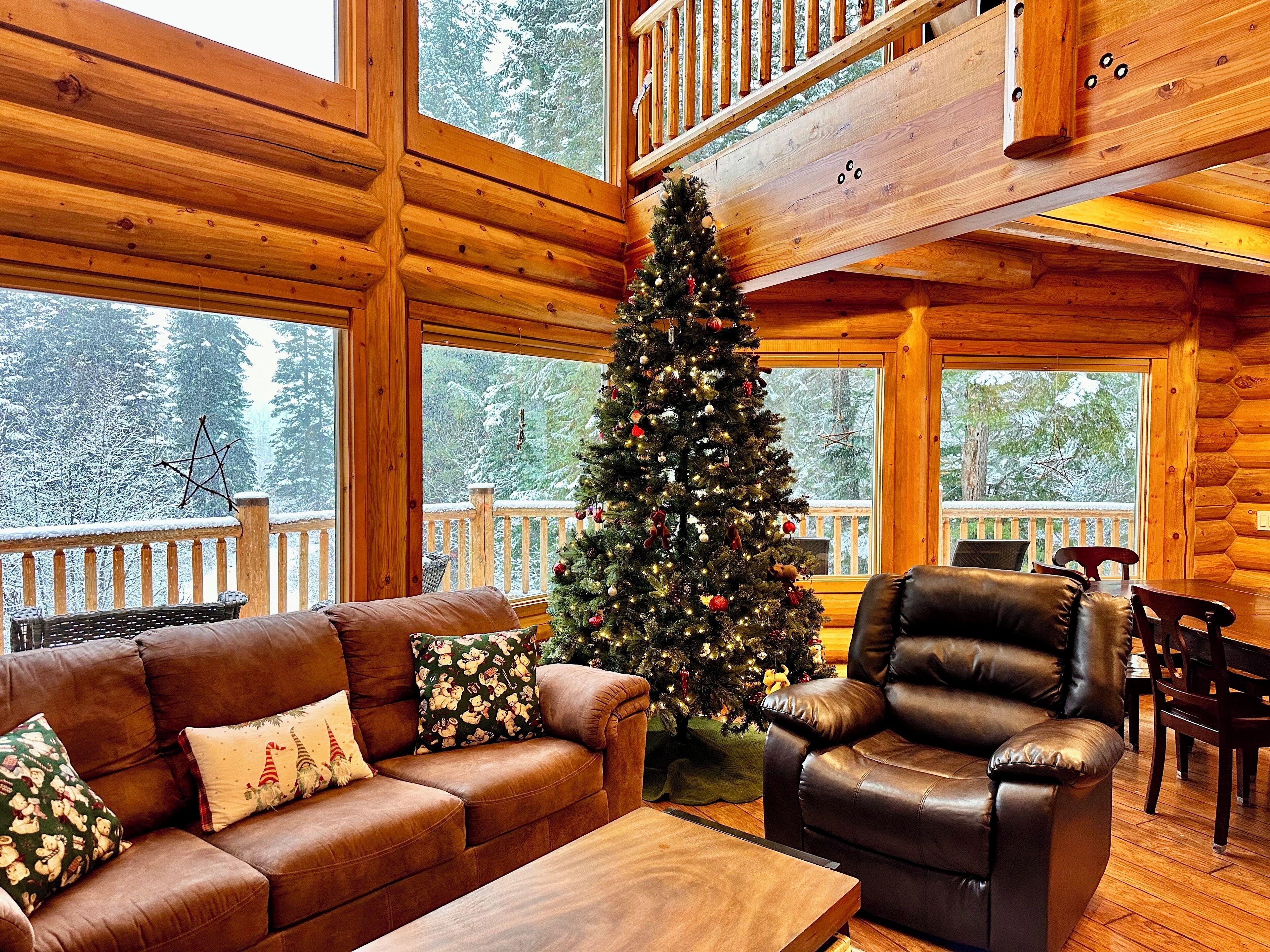 Flachbildfernseher, DVD-Player, Bücher, Videothek