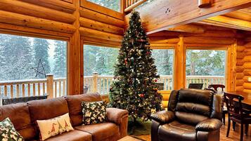 Una televisión de pantalla plana, un reproductor de DVD, libros