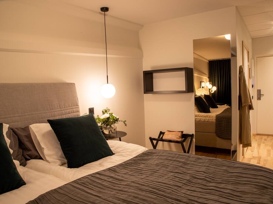 Minibar, desk, soundproofing, iron/ironing board (on request)