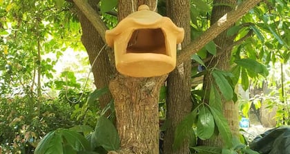 Venez rencontrer les beautés naturelles de notre ville!