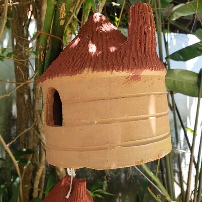 Come meet the natural beauties of our city!