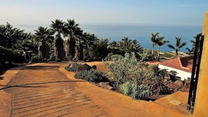 A pathway leading to a coastal area with palm trees and a view of the sea. - Perseidas House, Wonderfull house with pool and sea views. (Tijarafe)