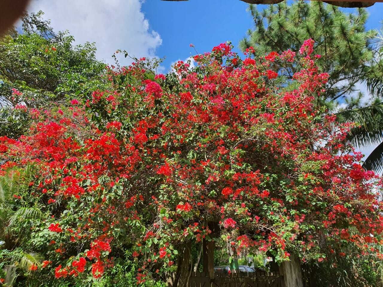 Nature, beach, peace and excitement - all at your fingertips. It's your choice!