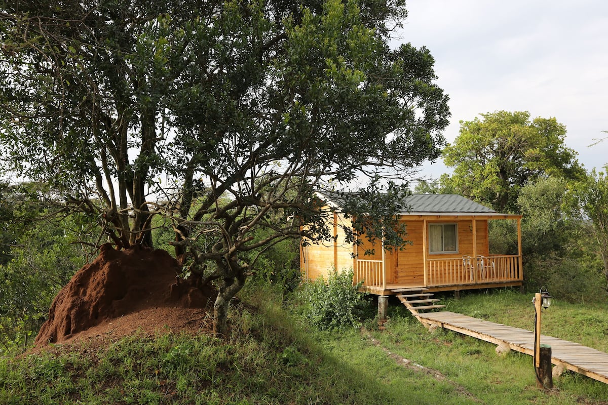 Una cabaña de madera con porche, rodeada de árboles y un montículo de tierra.