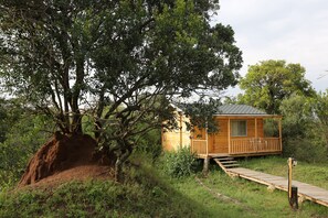 Eine Holzhütte mit Veranda, umgeben von Bäumen und einem Erdhügel.
