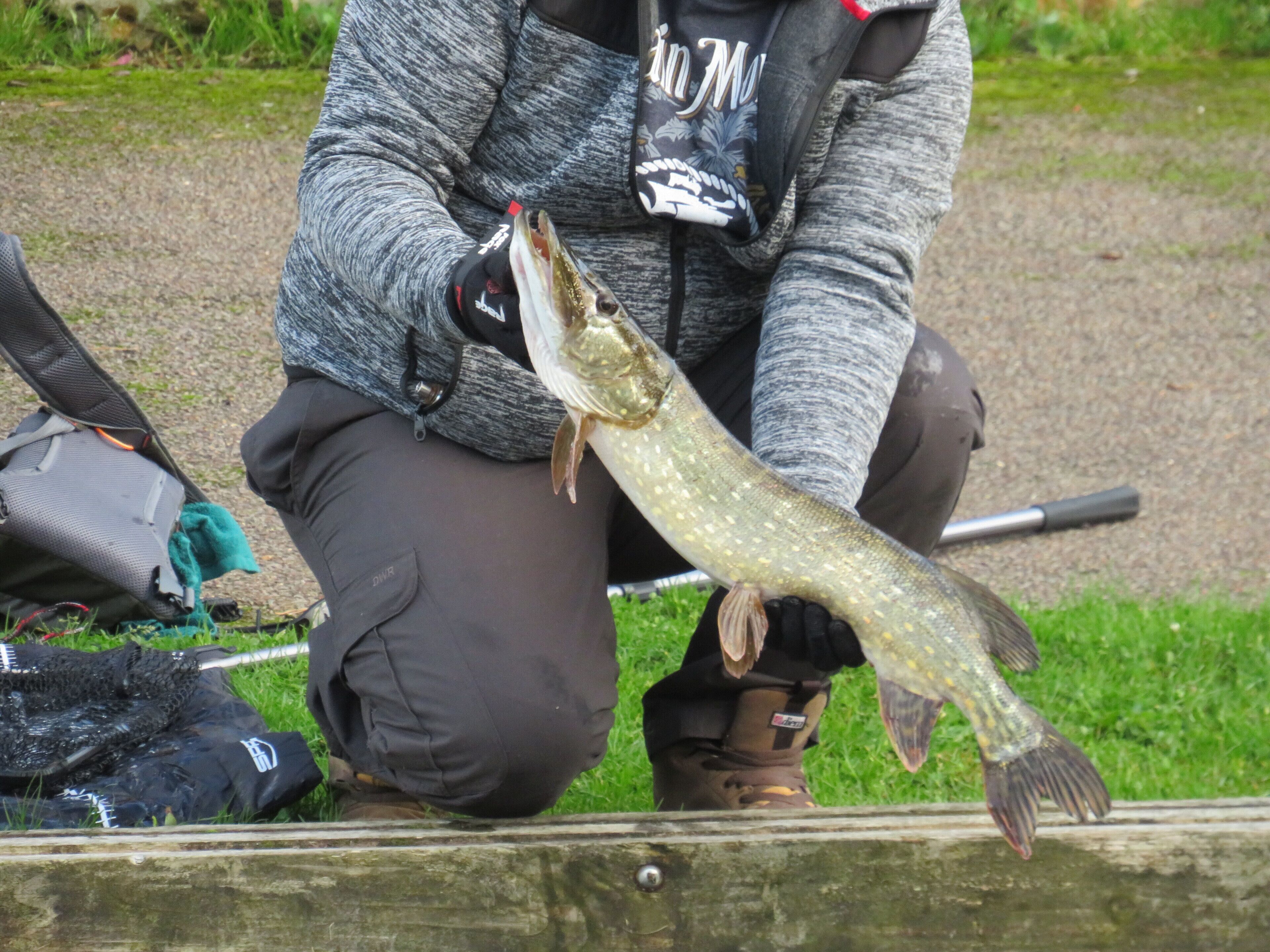 A person holding a fish, kneeling on grass, with fishing gear and a bag nearby.