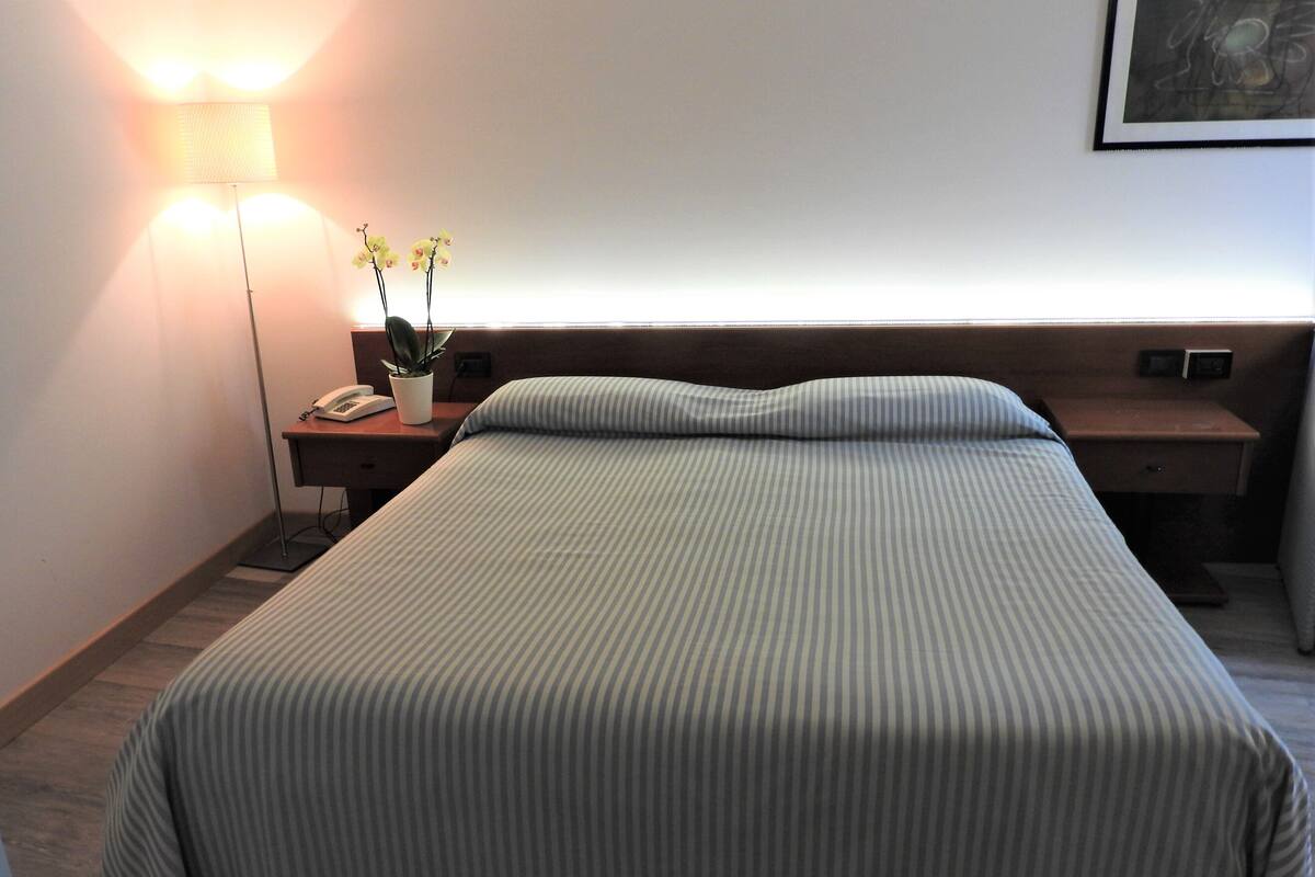 Habitación de hotel con una cama grande, una mesita de noche con lámpara, una planta en maceta y un cuadro en la pared.