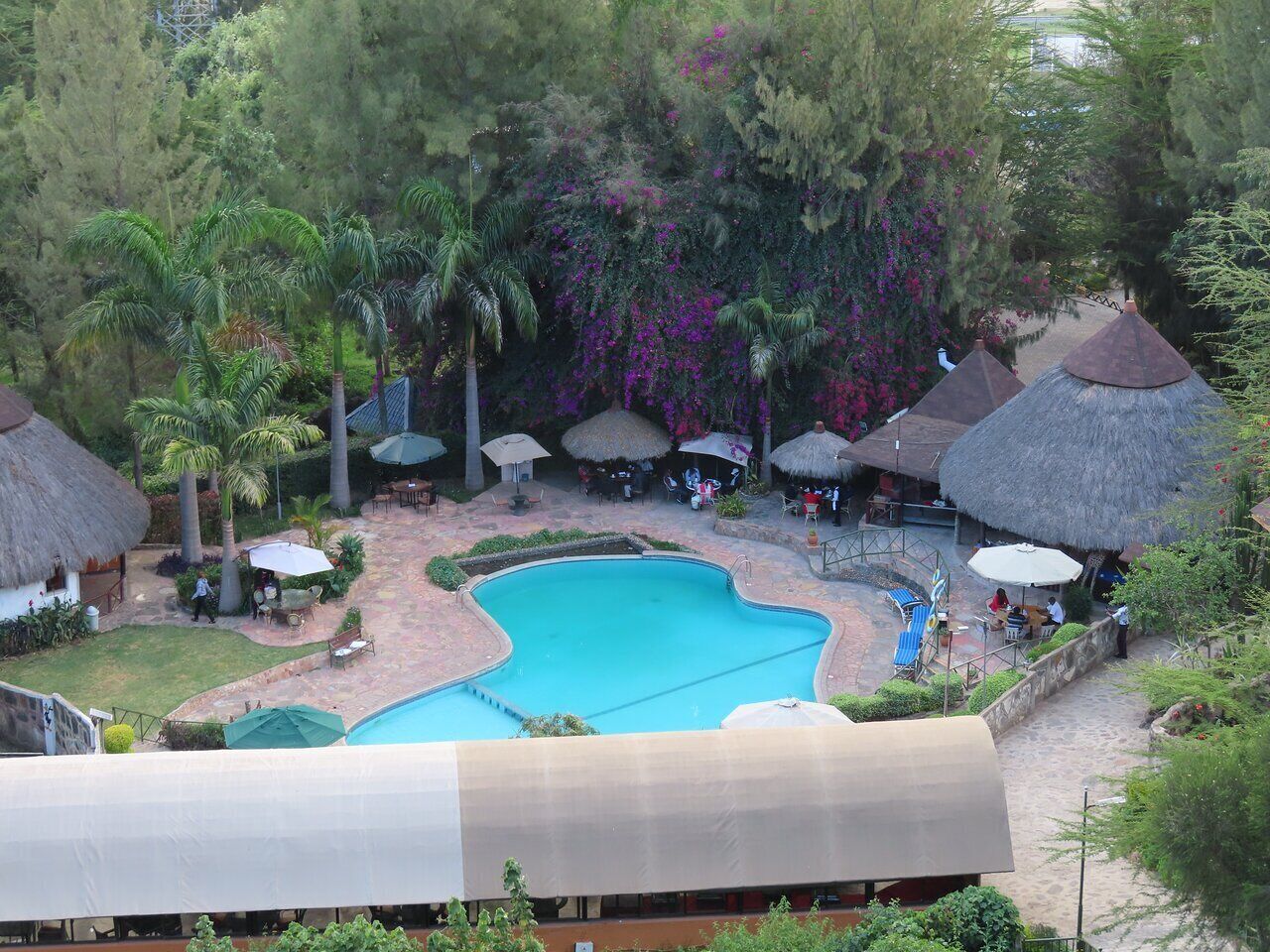 A swimming pool surrounded by thatched-roof structures and lush greenery.