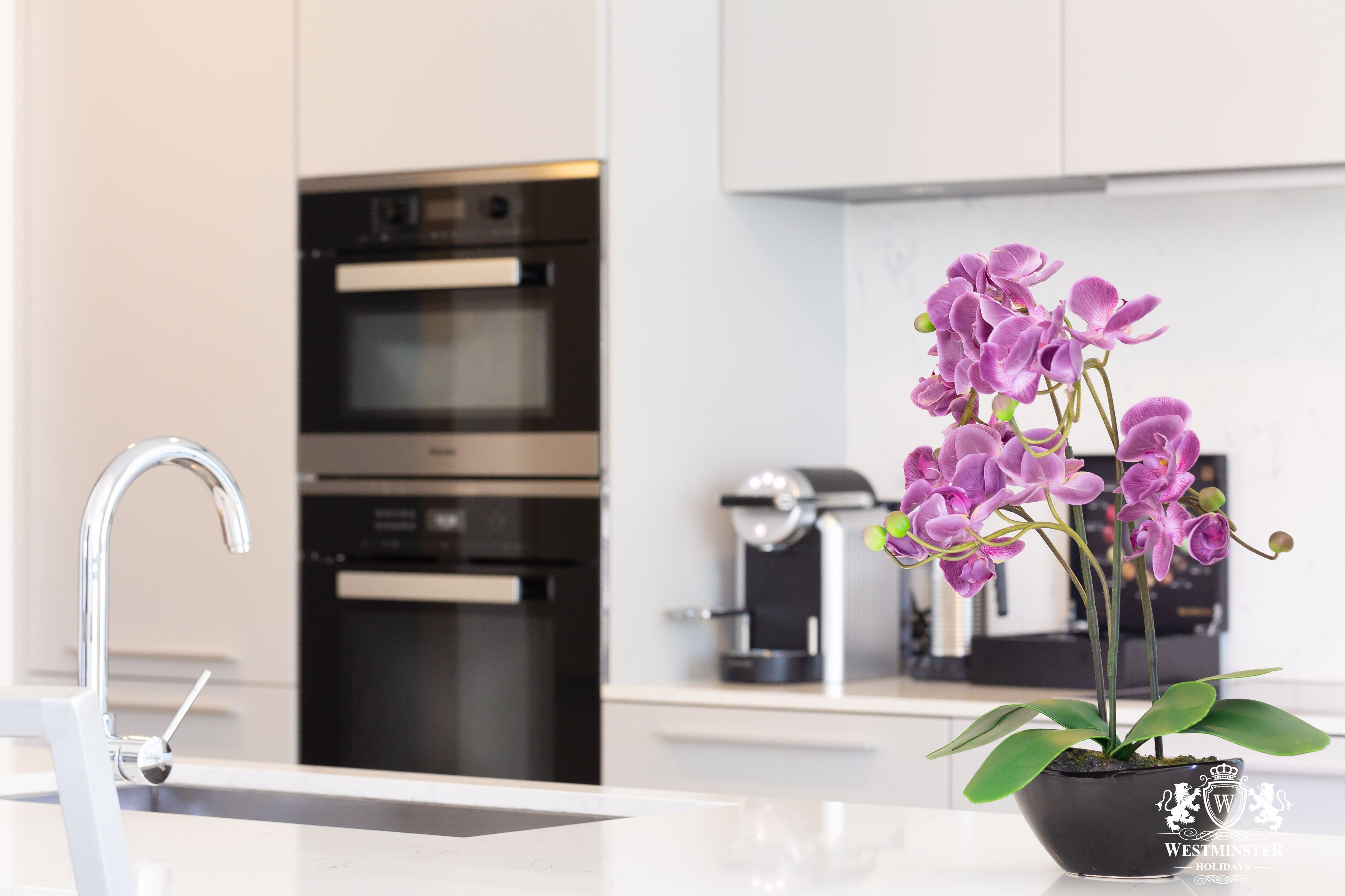 A modern kitchen with stainless steel appliances, a white countertop, and a potted purple orchid.