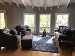 Smart TV, fireplace, video games, DVD player