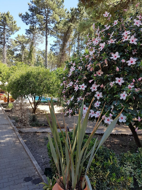 Área da propriedade