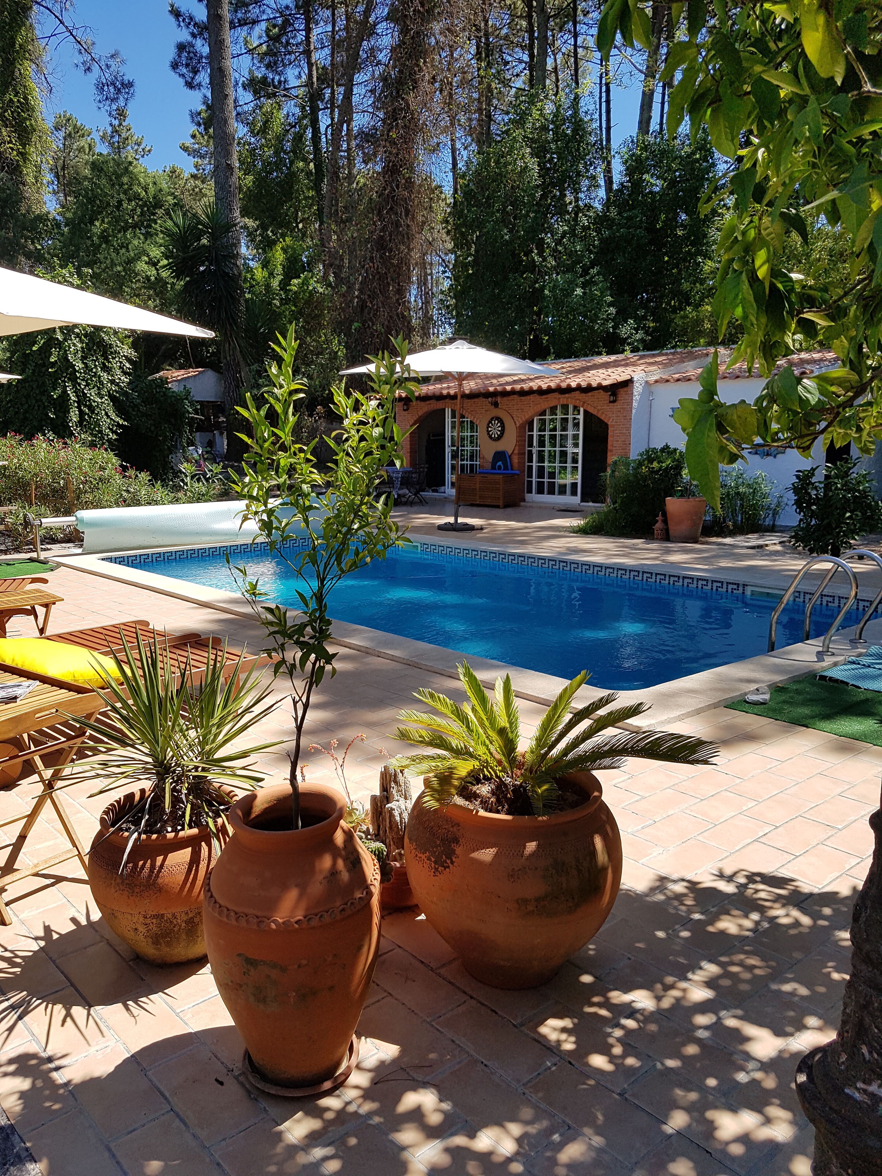 Alberca al aire libre y alberca climatizada