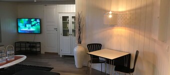Notodden Center apartment No 1.