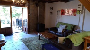 Televisión, chimenea, reproductor de DVD, libros