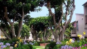 A garden pathway lined with trees and various flowers. - Paradise Awaits - Panoramic Ocean Views, big space (Solana Beach)