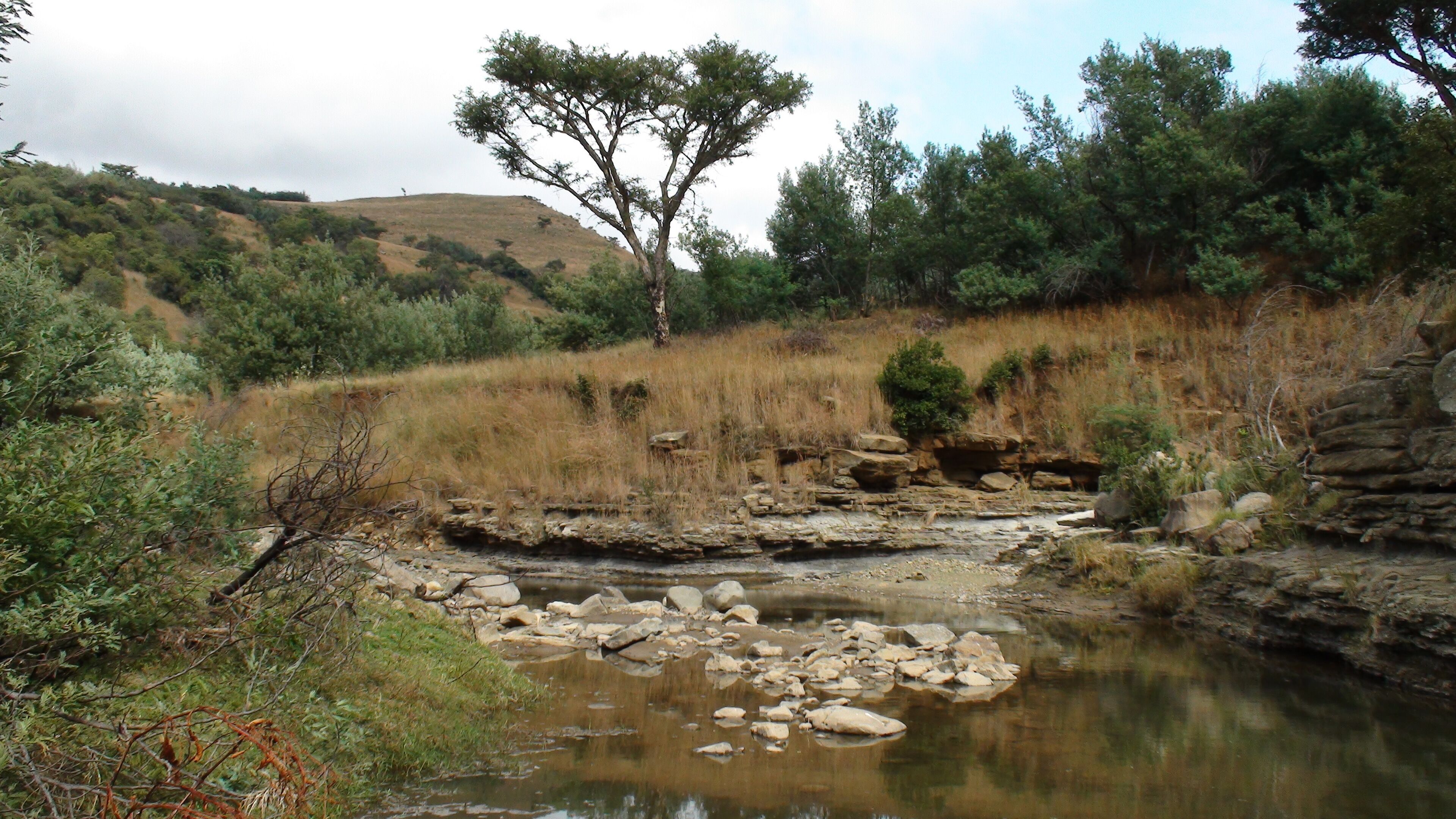 A natural landscape with a stream, rocky terrain, and sparse vegetation.