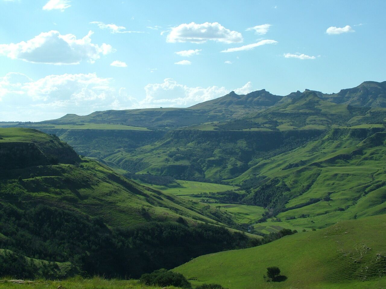 山景