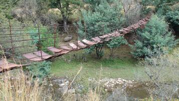 Un pont en bois rustique, doté de garde-corps en métal, entouré d’une végétation luxuriante et traversé par un petit ruisseau.