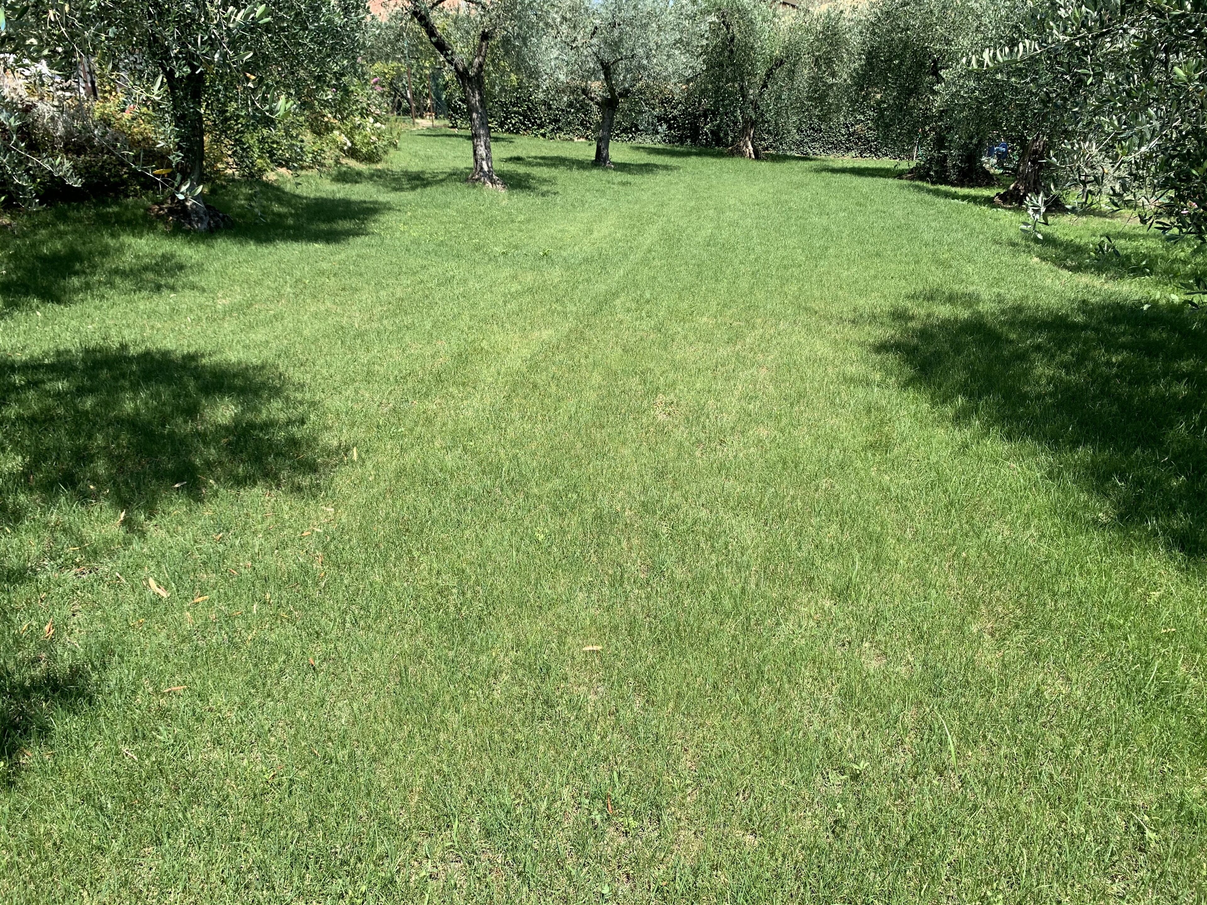 Foto - CorteViva Boutique B&B