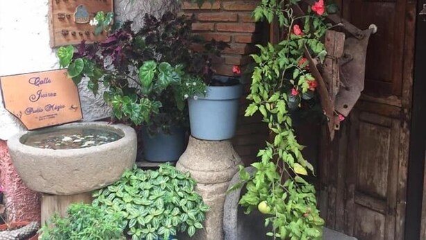 Ảnh chưa phân loại, 1 trong số 27 ảnh, nút