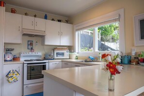 Fridge, microwave, oven, stovetop - Travellers Retreat 1 BDR Central Auckland (Auckland)