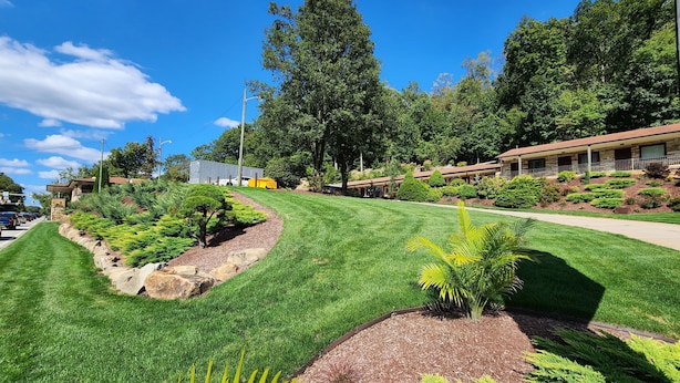 A well-maintained lawn with a curved pathway, a variety of shrubs, and a building with a brown roof and multiple windows.
