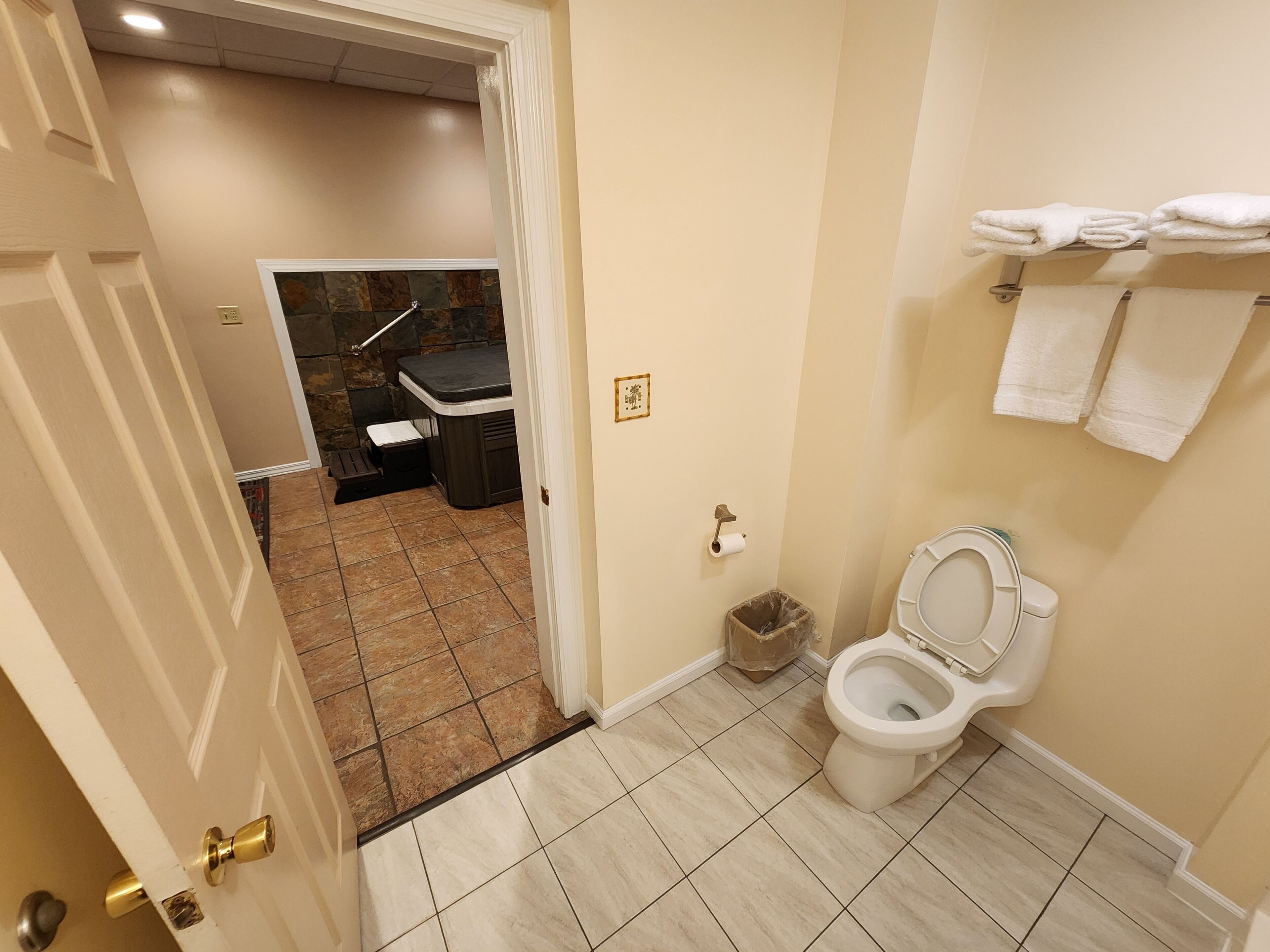Ein Badezimmer mit Toilette, Mülleimer und Handtuchhalter.