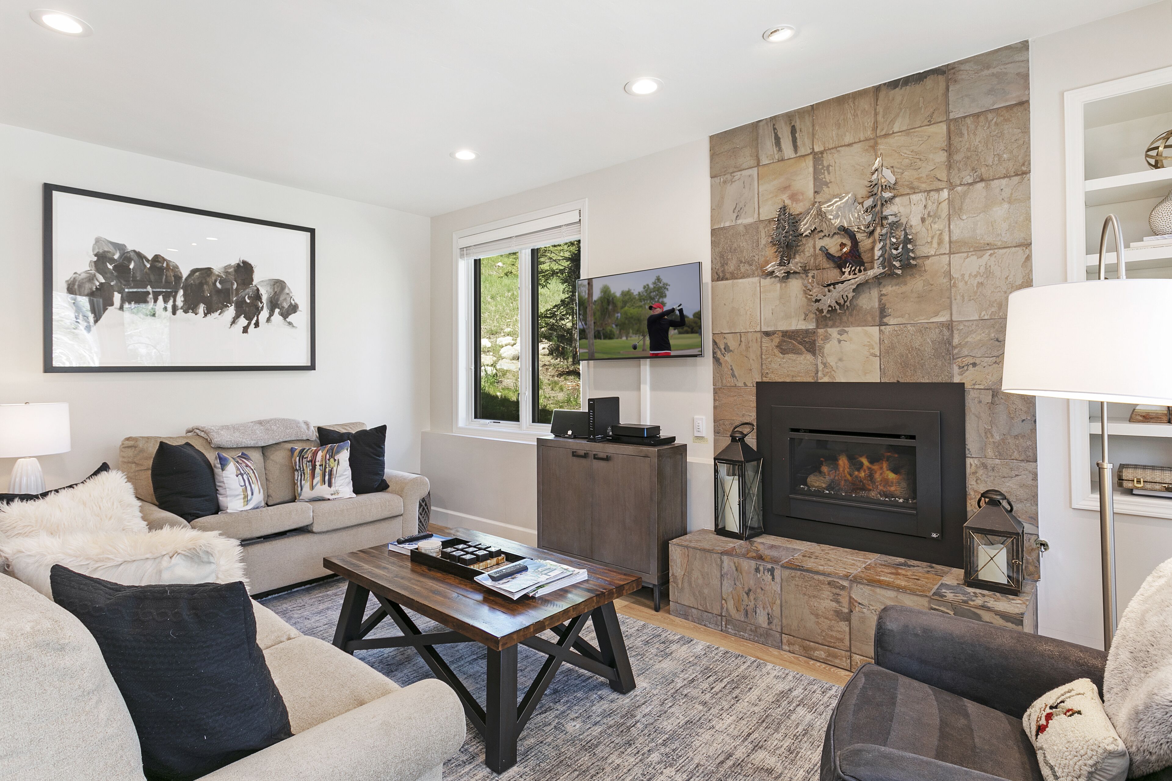 Televisión, chimenea, reproductor de DVD