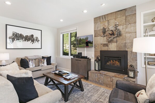 TV, fireplace, DVD player
