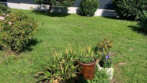 Un jardín cuidado con diversas plantas y una casa al fondo.