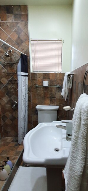 Secadora de cabello, toallas, shampoo, papel de baño 